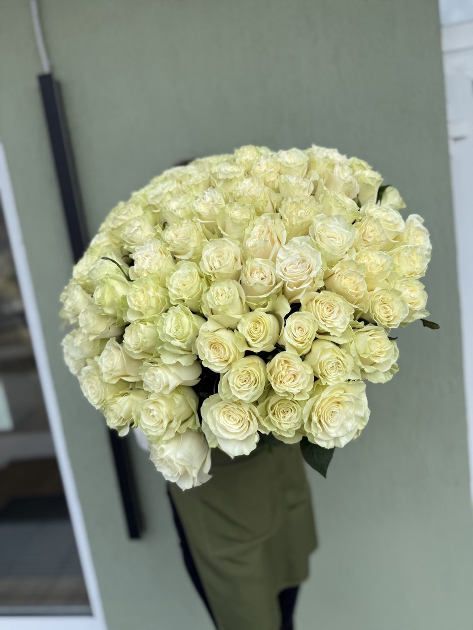 101 роза белая